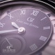 Carl von Zeyten CVZ0017SGYS