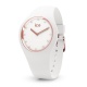 Ice-Watch 016300