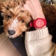 Ice-Watch 016264