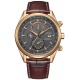 Citizen at8263-10h