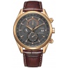 Citizen at8263-10h