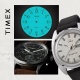 Timex tw5k94600