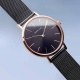 Zegarek Bering 14134-132