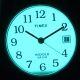 Timex T2H341