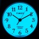 Timex T20433